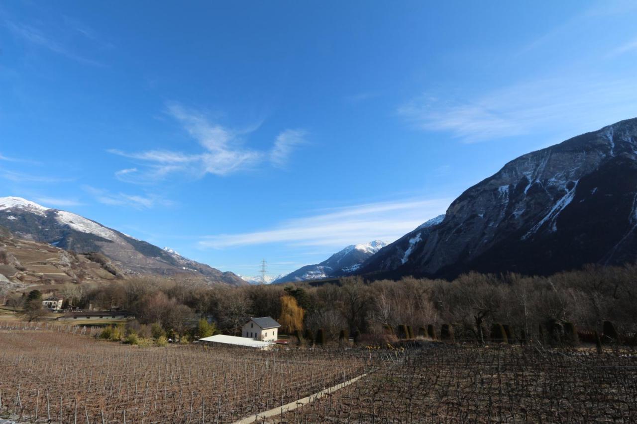 Bnb Vino Veritas Salgesch 외부 사진